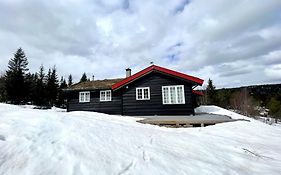Middagslia - Cabin At Skrim With Amazing View